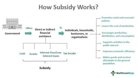 subsidy 뜻: 정부 지원이 경제에 미치는 영향에 대한 다양한 시각